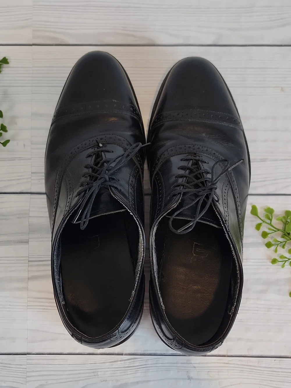 Dexter timeless black